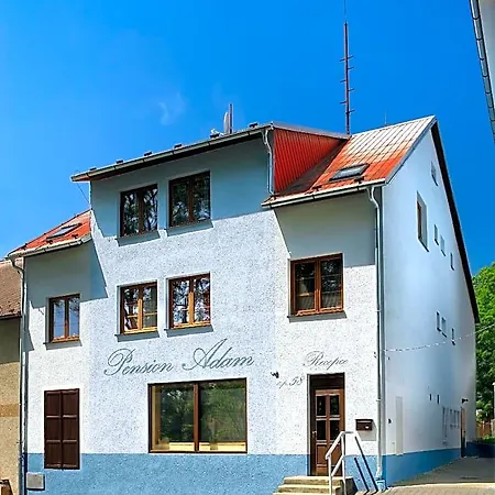 Adam Horní Planá